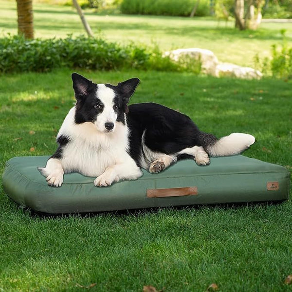 HKM-3985853 Inflatable Waterproof Non-Slip Dog Bed for Medium Dogs ¨C Removable and Washable Summer Travel Mat