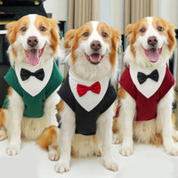 HKM-3985981 Cozy Autumn and Winter Pet Suits in Various Sizes and Colors