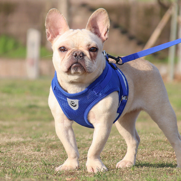 HKM-3986493 Reflective Summer Chest Strap for Small Dogs in Multiple Colors
