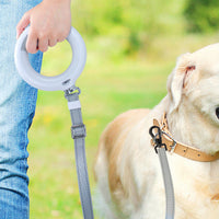 HKM-3987005 Adjustable Luminous LED Dog Leash with Lithium Battery - 2 Meters Long