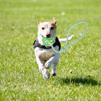 HKM-3988669 Interactive Dog Ball on Rope - Durable Natural Rubber Toy for Fetch, Tug, and Training for Medium to Small Dogs