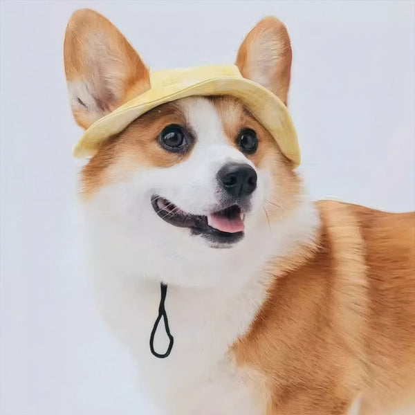 HKM-3991997 Breathable Sun Hat for Dogs with Exposed Ears in Various Colors and Sizes
