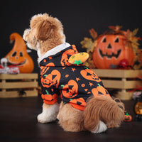 HKM-3992765 Cozy Orange Pumpkin Sweater for Dogs and Cats - Multiple Sizes Available