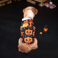 HKM-3992765 Cozy Orange Pumpkin Sweater for Dogs and Cats - Multiple Sizes Available