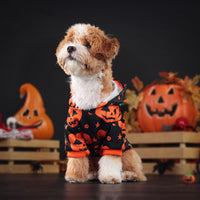 HKM-3992765 Cozy Orange Pumpkin Sweater for Dogs and Cats - Multiple Sizes Available