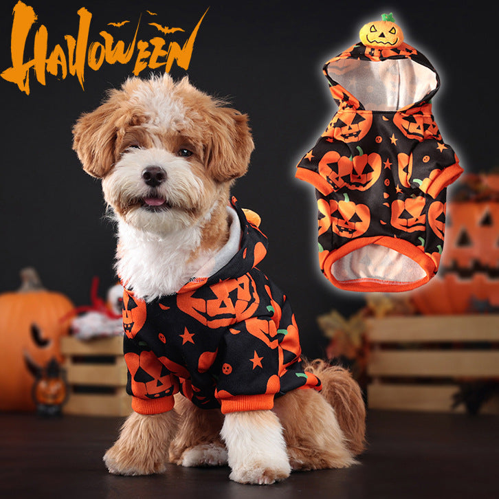 HKM-3992765 Cozy Orange Pumpkin Sweater for Dogs and Cats - Multiple Sizes Available