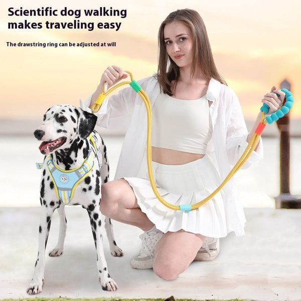 HKM-3996733 Non-Slip Nylon Hand Holding Rope in Various Colors for Pets