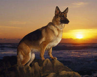 HKM-399763 Full Diamond Sunset Dog DIY Diamond Painting Kit – 25x30cm Round & Square Options