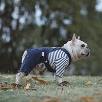 HKM-3999293 Cotton Stretch Four-Legged Pet Overalls for Autumn & Winter ¨C Casual Design in Navy, Khaki, Yellow, and Blue