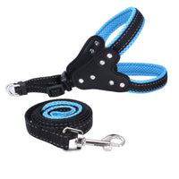 HKM-4002493 Reflective Rhinestone Pet Traction Sleeve with Nylon Strap - Available in Multiple Colors