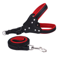 HKM-4002493 Reflective Rhinestone Pet Traction Sleeve with Nylon Strap - Available in Multiple Colors
