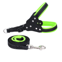 HKM-4002493 Reflective Rhinestone Pet Traction Sleeve with Nylon Strap - Available in Multiple Colors