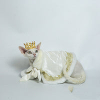 HKM-4006845 Casual Polyester Pet Cape for Dogs and Cats, White and Red, Various Sizes