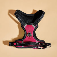 HKM-4007741 Pet Car Safety Chest Harness for Medium and Large Dogs - Nylon, Non-Adjustable, Available in Multiple Colors