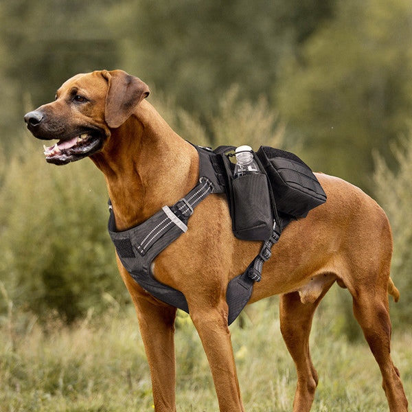 HKM-4008253 Comfortable Waterproof Pet Walking Leash with Chest Strap in Black and Army Green