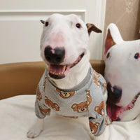 HKM-4009021 Cute Bear Print Dog T-Shirt in Gray, Sizes S to 3XL