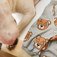 HKM-4009021 Cute Bear Print Dog T-Shirt in Gray, Sizes S to 3XL