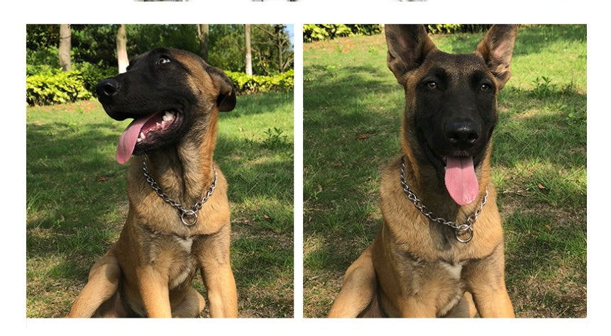 HKM-4010429 Stainless Steel Dog Collar Chain for German Shepherds and Rottweilers - Multiple Sizes Available