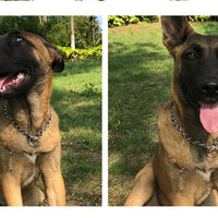 HKM-4010429 Stainless Steel Dog Collar Chain for German Shepherds and Rottweilers - Multiple Sizes Available
