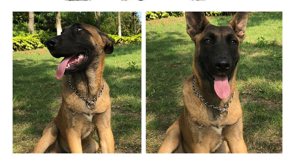 HKM-4010429 Stainless Steel Dog Collar Chain for German Shepherds and Rottweilers - Multiple Sizes Available