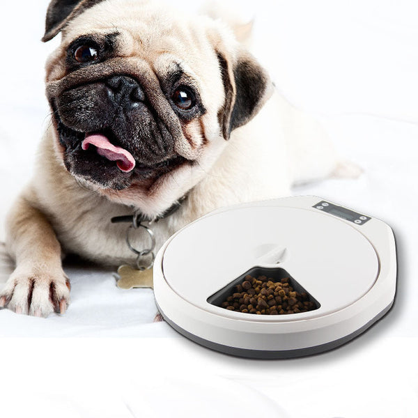 HKM-4014397 Automatic Multi-Meal Feeder for Cats and Dogs with Intelligent Timer and Food-Grade Material