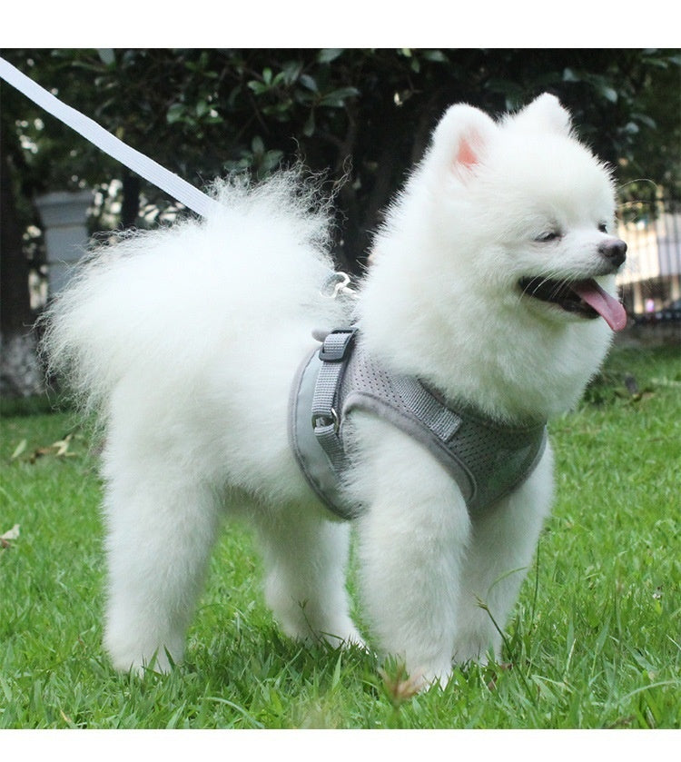 HKM-4014781 Reflective Dog Breast Strap Vest with Breathable Traction Rope - Multiple Colors Available