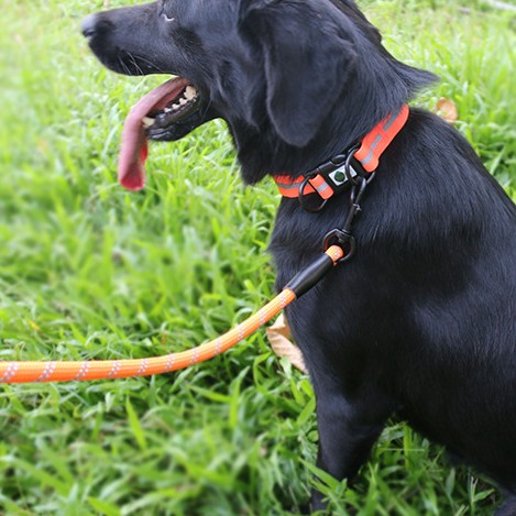 HKM-4016189 Reflective Striped Dog Harness - Waterproof, Easy-Clean, Multiple Colors Available