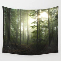 HKM-401619 Dawn Wall 100% Polyester Tapestry with Printed Design