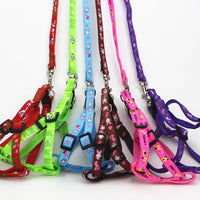HKM-4019773 Fashionable Nylon Pet Leash with Colorful Printed Patches - Adjustable Traction Rope for Small and Large Dogs
