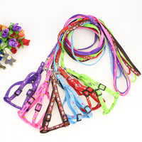 HKM-4019773 Fashionable Nylon Pet Leash with Colorful Printed Patches - Adjustable Traction Rope for Small and Large Dogs