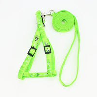 HKM-4019773 Fashionable Nylon Pet Leash with Colorful Printed Patches - Adjustable Traction Rope for Small and Large Dogs