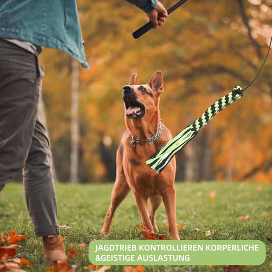 HKM-402515 Telescopic Dog Teasing Rod with Ropes and Ball - 102cm Black Aluminum Alloy Pet Toy