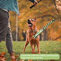 HKM-402515 Telescopic Dog Teasing Rod with Ropes and Ball - 102cm Black Aluminum Alloy Pet Toy