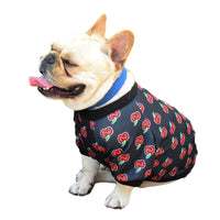 HKM-4029885 Customizable Casual Two-Legged Teddy Dog Clothing for Spring and Autumn, Polyester Material - Sizes XS to XXL