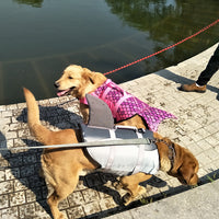 HKM-4033085 Pet Life Jacket for Dogs - Shark Mermaid Design, Available in Rose Red and Silver Gray, Sizes XS to XL