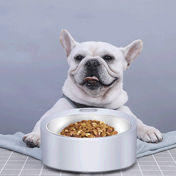 HKM-4041405 Large Capacity Detachable Stainless Steel Dog Food Bowl with Weighing Function