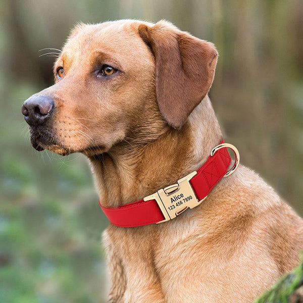 HKM-4043069 Corgi Method Adjustable Dog Collar in PU/Nylon with Alloy Fasteners