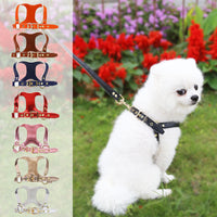 HKM-4046269 Leather Chest Strap and Leash for Dogs and Cats - Scalable Design in Multiple Colors