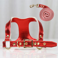 HKM-4046269 Leather Chest Strap and Leash for Dogs and Cats - Scalable Design in Multiple Colors