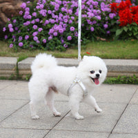 HKM-4046269 Leather Chest Strap and Leash for Dogs and Cats - Scalable Design in Multiple Colors