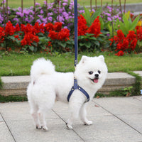 HKM-4046269 Leather Chest Strap and Leash for Dogs and Cats - Scalable Design in Multiple Colors