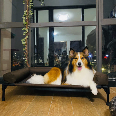 HKM-4051389 Moisture-Proof Pet Camp Bed with Removable Washable Surrounding Border for Medium to Large Dogs