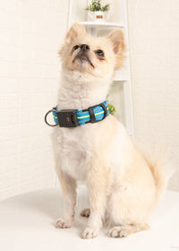 HKM-4054717 Glowing Waterproof Dog Collar with Luminous and Reflective Modes in Red, Blue, Green, and Pink