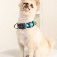 HKM-4054717 Glowing Waterproof Dog Collar with Luminous and Reflective Modes in Red, Blue, Green, and Pink