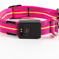 HKM-4054717 Glowing Waterproof Dog Collar with Luminous and Reflective Modes in Red, Blue, Green, and Pink
