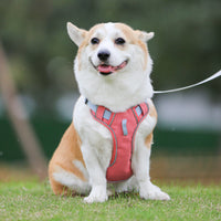 HKM-405715 Large Rainbow Anti-Slip Pet Chest Harness with Traction Rope