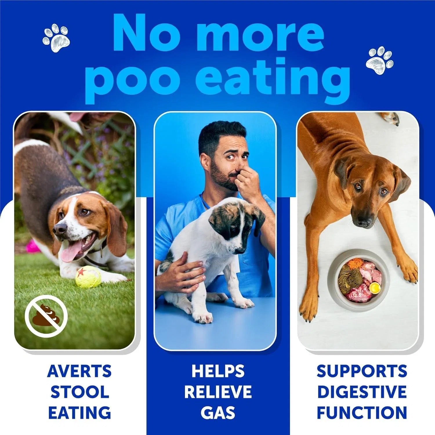 HKM-4058557 Dog Stool Eating Deterrent Chews with Probiotics and Enzymes for Healthy Gut Support