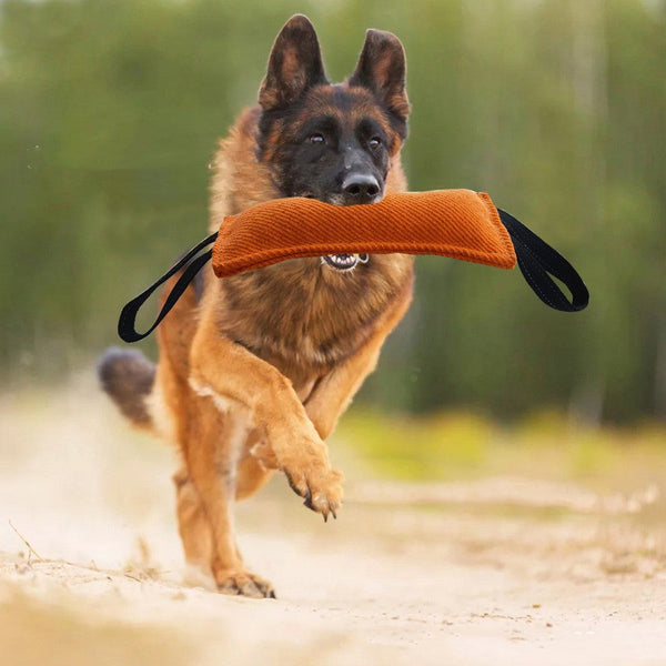 HKM-4059325 Durable Dog Biting Stick for Training - Thickened Bite-Resistant Cloth, Multiple Colors