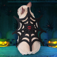 HKM-4065853 Black Felt Spider Web Pet Costume for Cats and Dogs - Sizes S, M, L