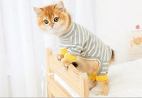 HKM-4068413 Casual Cat Clothing for British Shorthair - Anti-Hair Shed Four-Legged Outfit in Various Colors